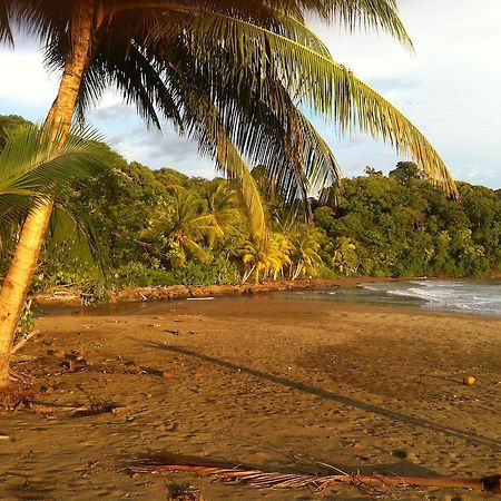 Hotel Villas Gaia Uvita Bagian luar foto