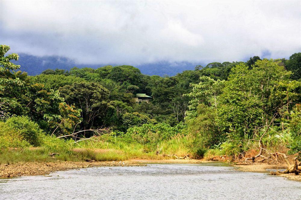 Hotel Villas Gaia Uvita Bagian luar foto