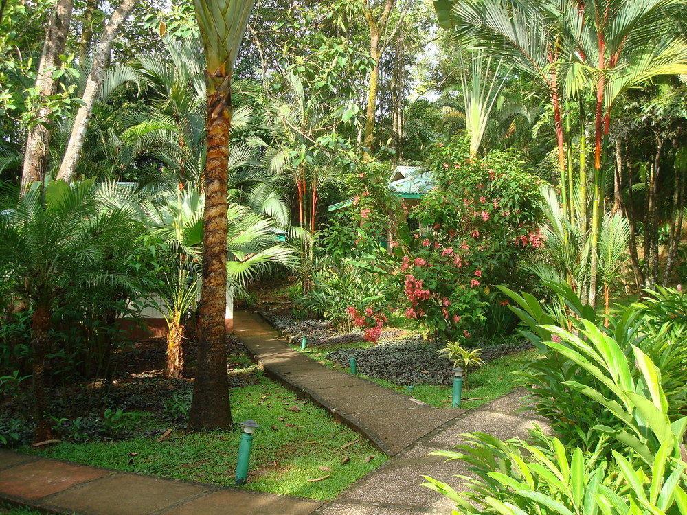 Hotel Villas Gaia Uvita Bagian luar foto