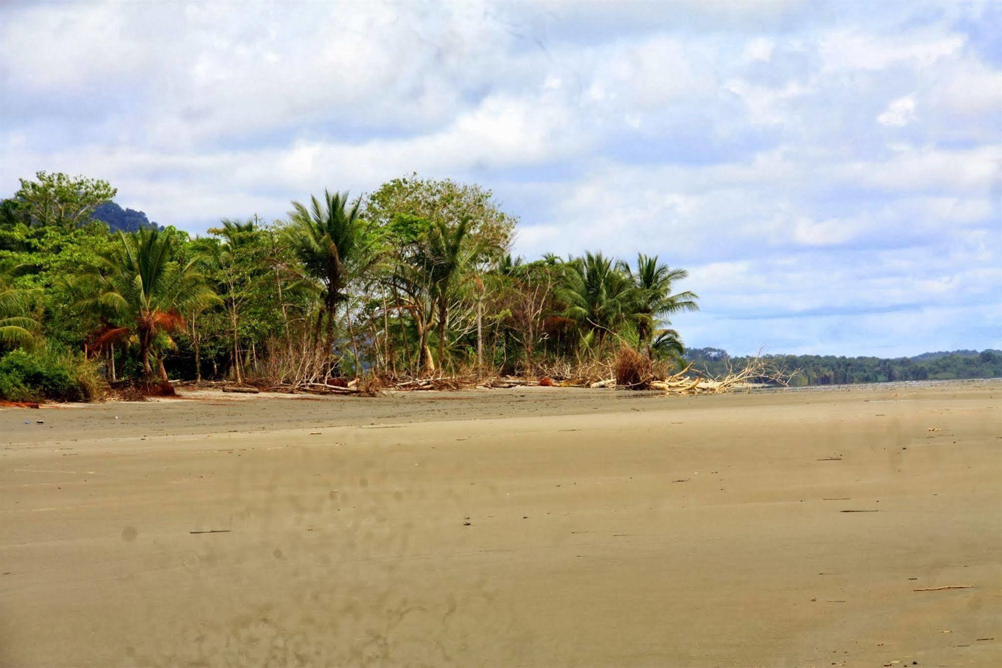 Hotel Villas Gaia Uvita Bagian luar foto