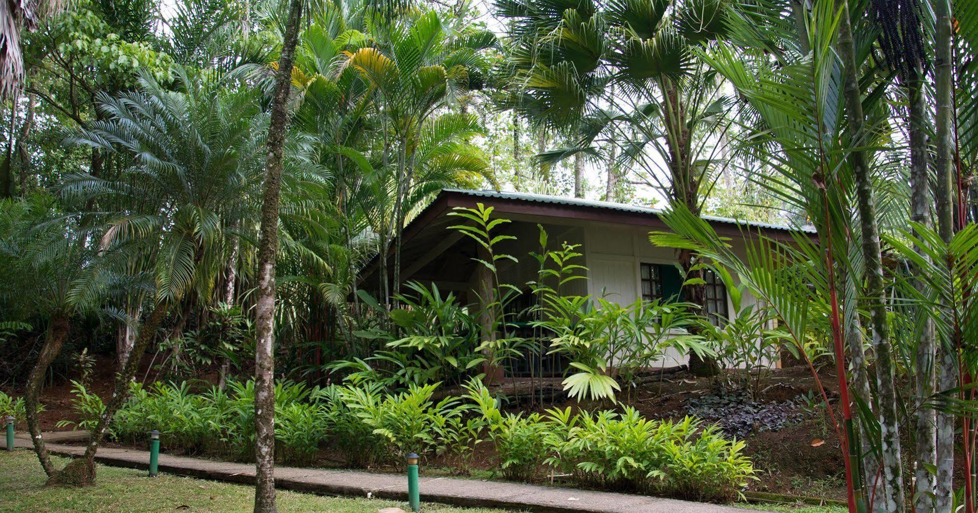Hotel Villas Gaia Uvita Bagian luar foto